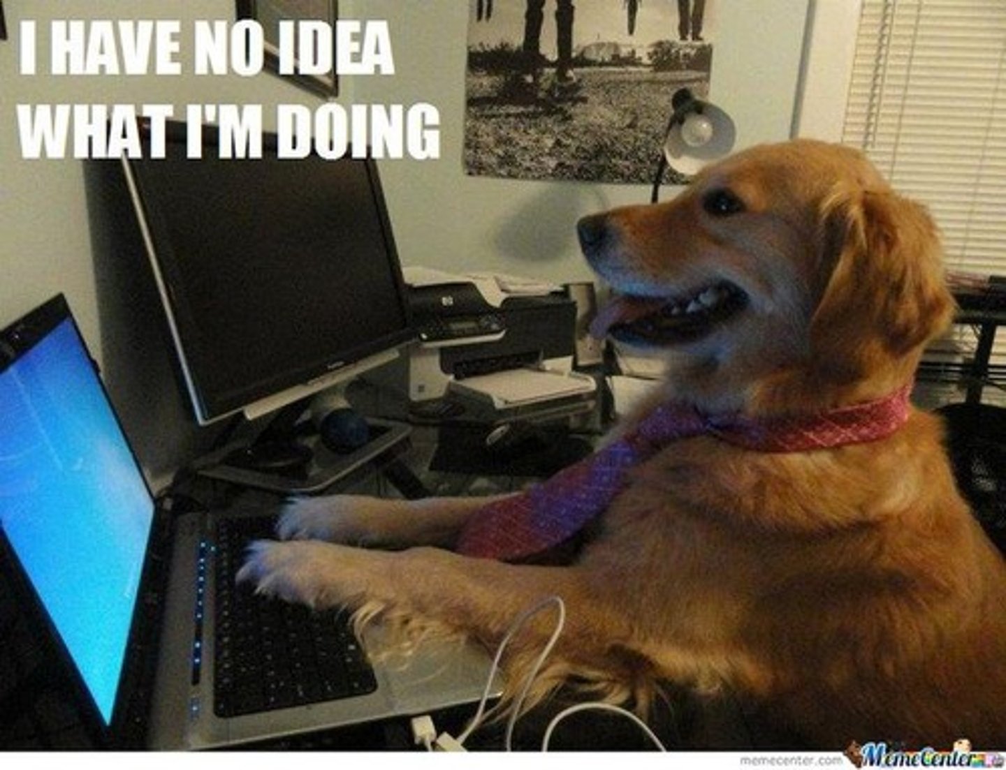 <p>(adj.) Without experience; immature, not fully developed; lacking sophistication and poise; without feathers.</p><p>Synonyms: Green, Raw, Unfledged, Inexperienced</p><p>Antonyms: Mature, Grown-Up, Polished, Sophisticated</p>