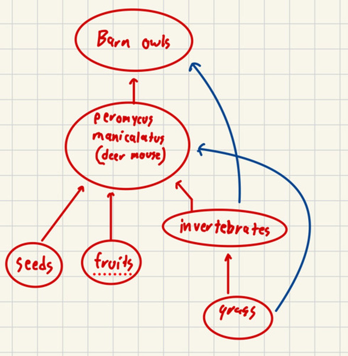 <p>diagram representing the complex interactions of interactions of predators and prey </p><p>-----------------</p><p>FEATURES: (BOOK)</p><p>- are highly interwoven, with linkages that represent the interactions between different species</p>