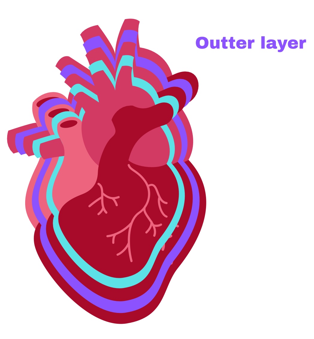 <p>Partial Pericardium</p>