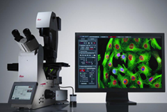 <p>Microscope?<br>Light source?<br>Stain?</p>