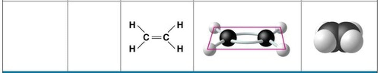 <p>Molecular formula: C2H4</p>