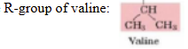 <p>proteins with the amino acid valine on their surface often stick together when placed in water. why?</p>