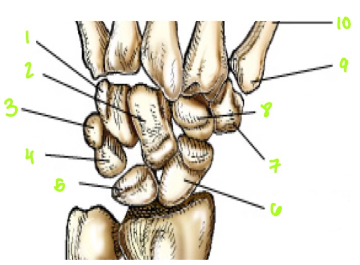 <p>1 </p>