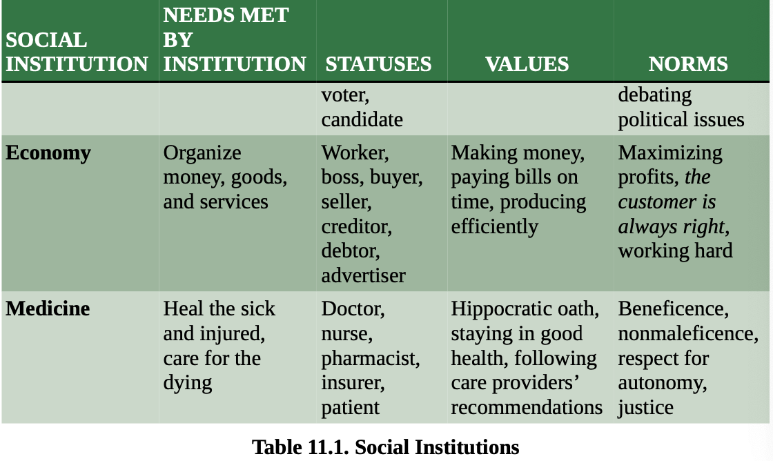 <p>[meso level]</p><p>are well-established social structures that dictate certain patterns of behavior or relationships and are accepted as a fundamental part of culture. Common social institutions include the <strong>family, education, religion, government and the economy, and health and medicine.</strong><br>There are four key ethical tenets of American medicine.&nbsp;</p>