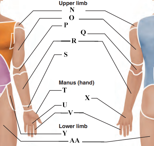 <p>Name letter AA</p>