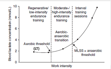 <ol><li><p>Low intensity domain</p></li><li><p>Moderate domain</p></li><li><p>Severe domain (Interval)</p></li></ol><p></p>