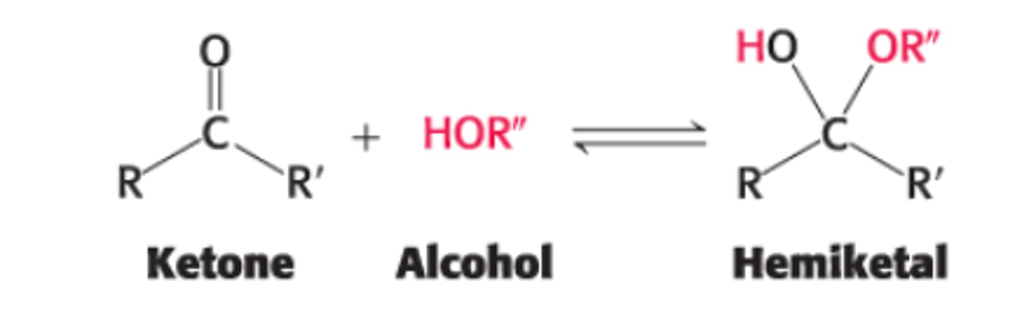 <p>ketone + alcohol = hemiketal</p>