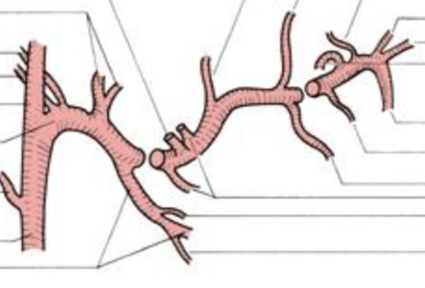 <p>3rd part on the right</p>