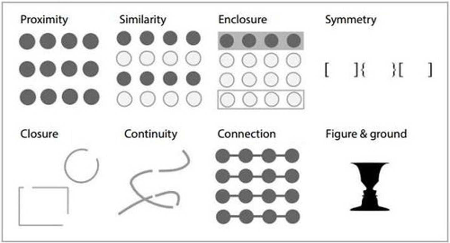 <p>Describe the top-down processing that organizes sensory information into distinct forms.</p><p>continuity,closure,simmilarity,proximity,figure, common fate</p>