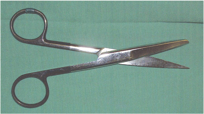 <p>What type of scissors are these?</p>
