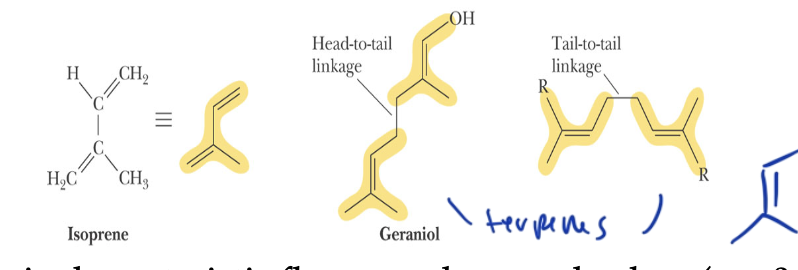 <ul><li><p>have multiple isoprene structures, each of 5 carbon units, but have conjugated double bonds, which absorb visible light</p></li><li><p>so multiple isoprenes with conjugated pi bonds together in a single molecule</p></li><li><p>recognized for their odor/bright color/flavor (pigments)</p></li></ul><p></p>