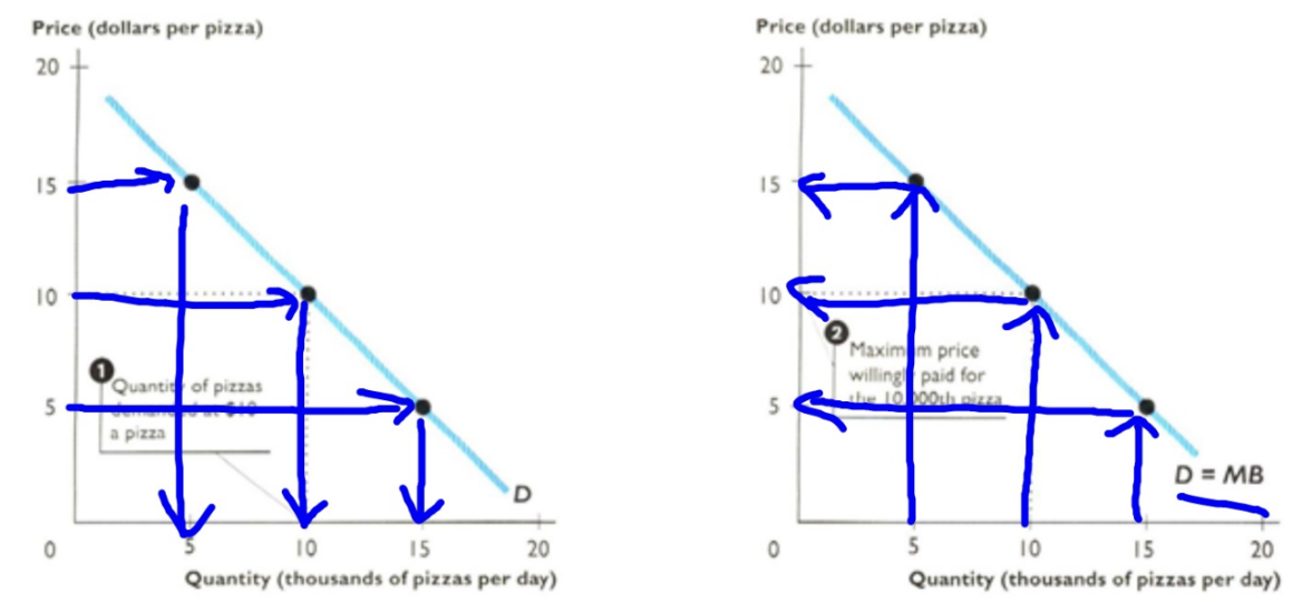 <ul><li><p>Price determines quantity demanded</p></li><li><p>Quantity determines willingness to pay</p></li><li><p>The Demand Curve is also the marginal benefit curve (MB=D)</p></li></ul>