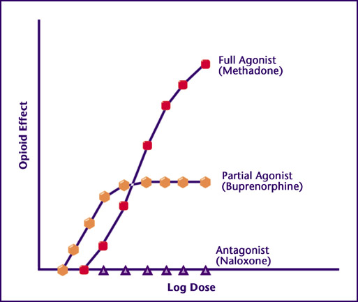 <p>Full agonist </p>