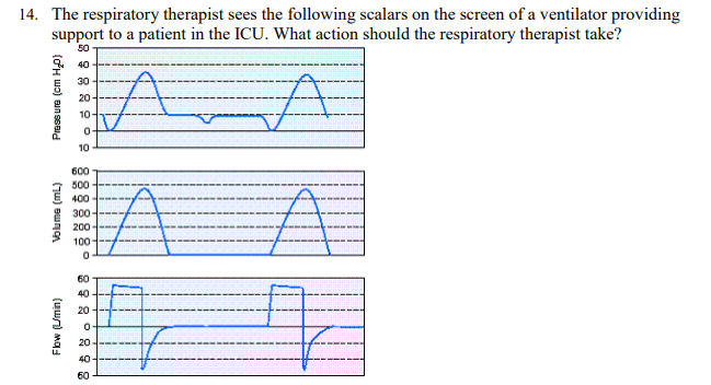 <p>The respiratory therapist sees the following scalars on the screen of a ventilator providing support to a patient in the ICU. What action should the respiratory therapist take?</p>