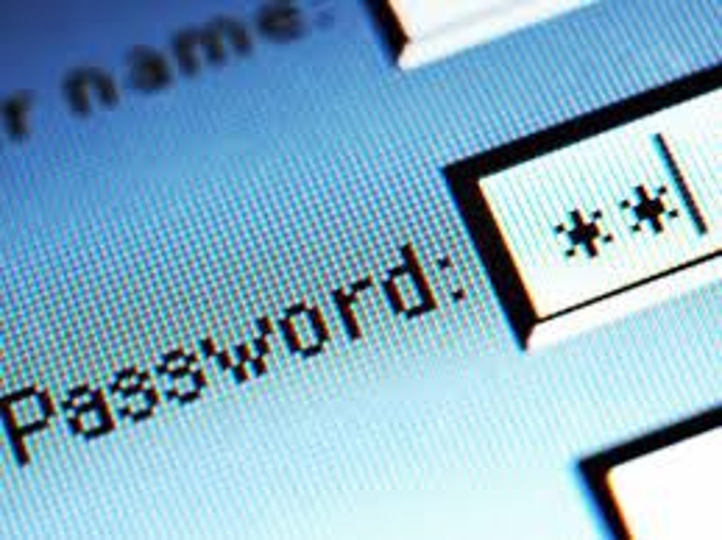 <p>password</p>