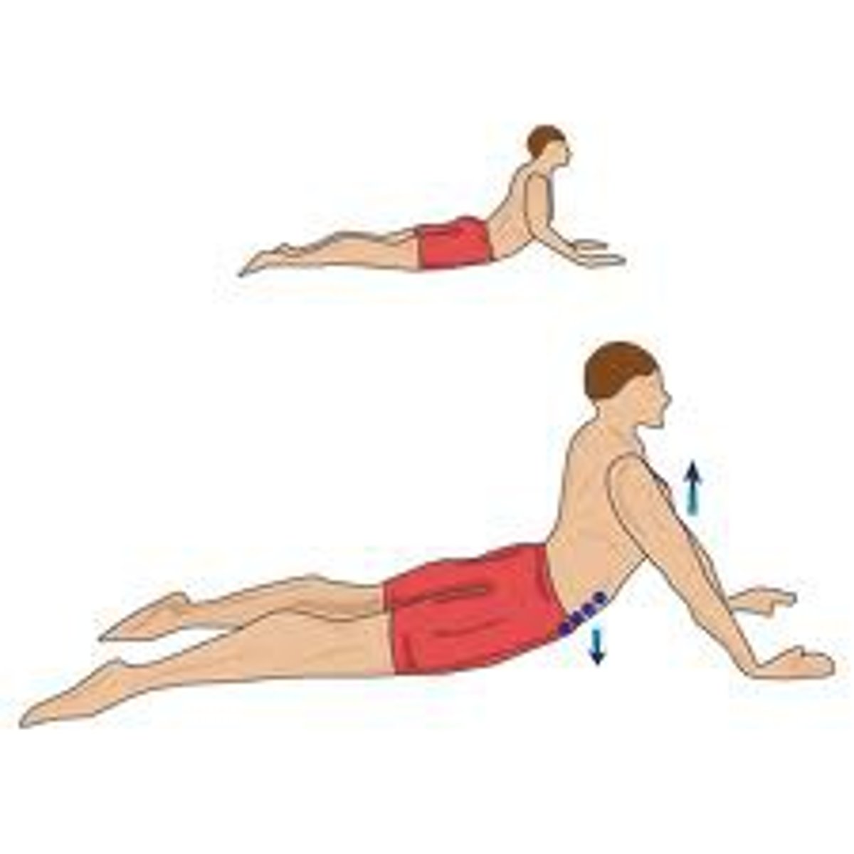 knowt flashcard image