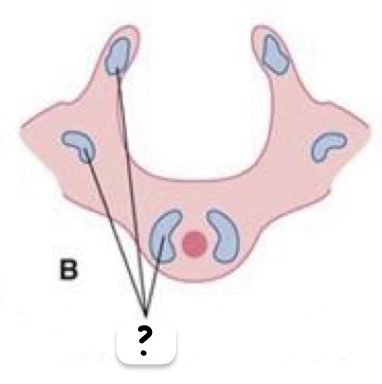 <p>Semana y rótulos</p>