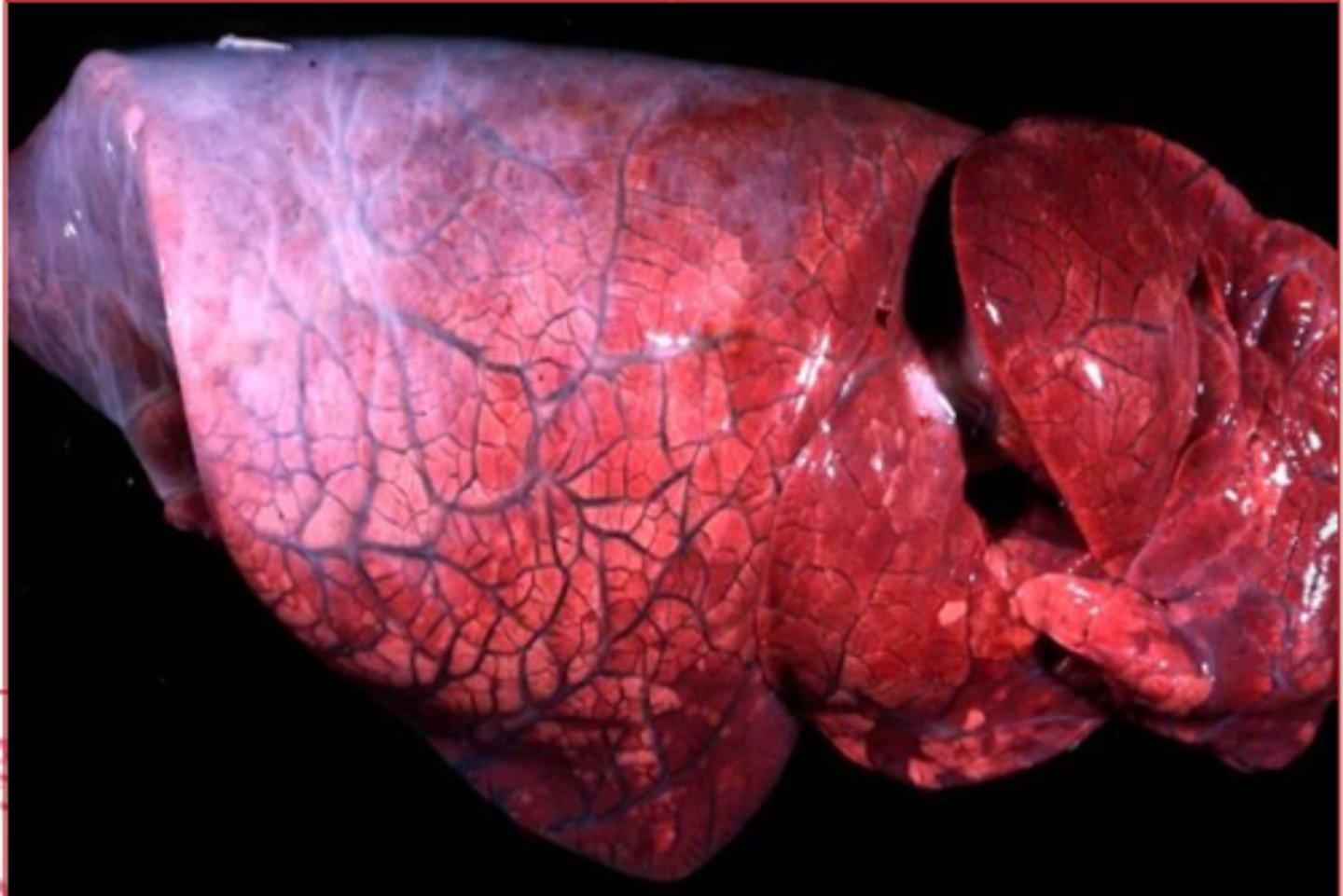 <p>What is this?</p>