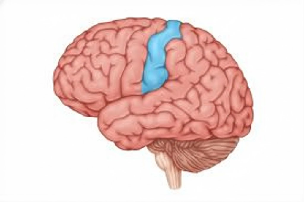 <p>What is this?</p>