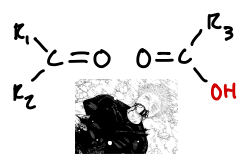 <p>10.12. - Cleavage of a C=C Double Bond using Permanganate</p>