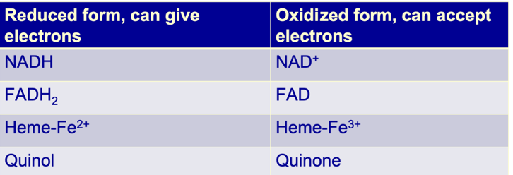 <p><strong>NAD+ accepts 2 e- and becomes NADH</strong></p><p class="MsoNormal"><strong>NADH can donate 2 e- to the respitory chain and become NAD+ again</strong></p>