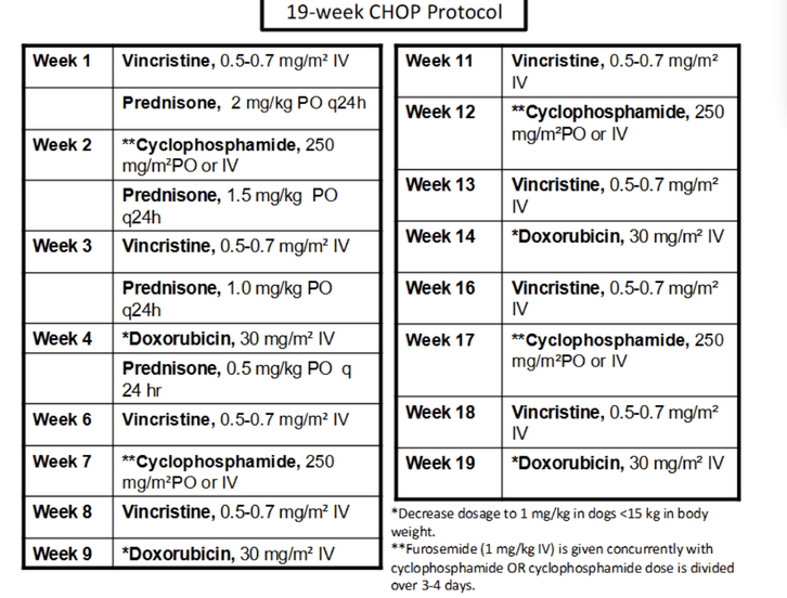 <p>- C = cyclophosphamide</p><p>- H = doxorubicin (hydroxydaunorubicin)</p><p>- O = vincristine (Oncovin)</p><p>- P = prednisone</p>