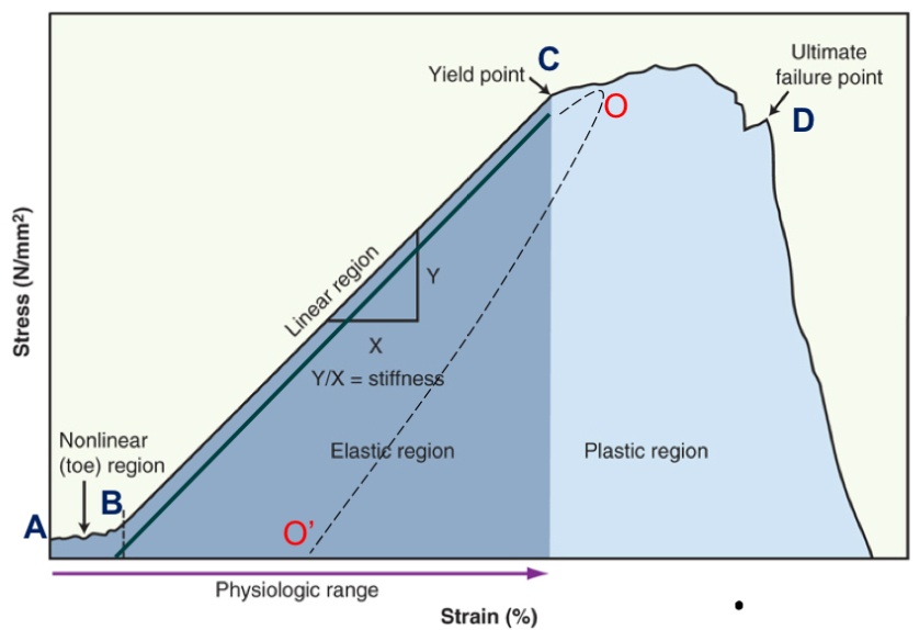 <p>plastic region</p>