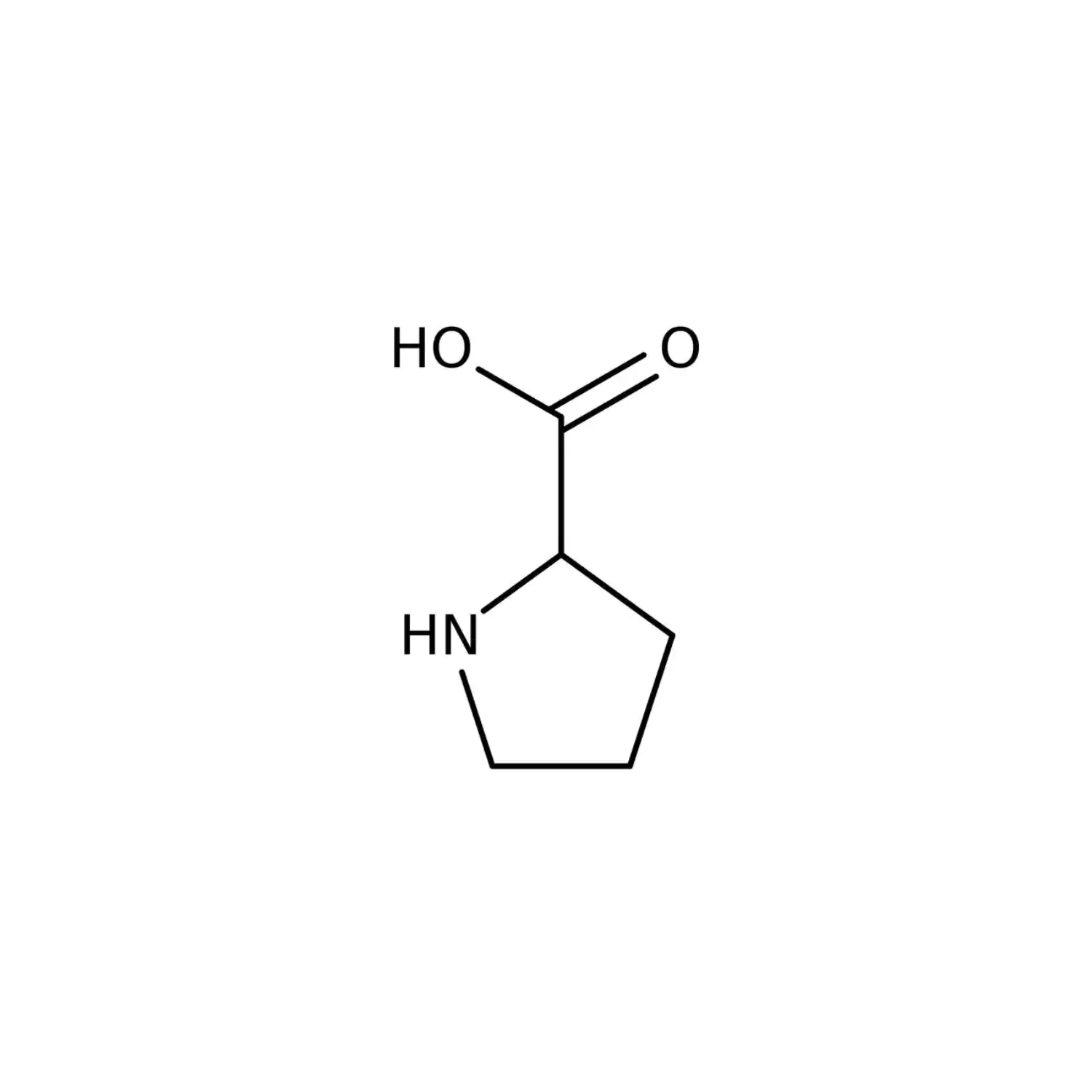 <p>Forms a ring with the amino acid N; least flexible amino acid in protein; non-polar, cyclic, aliphatic.</p>