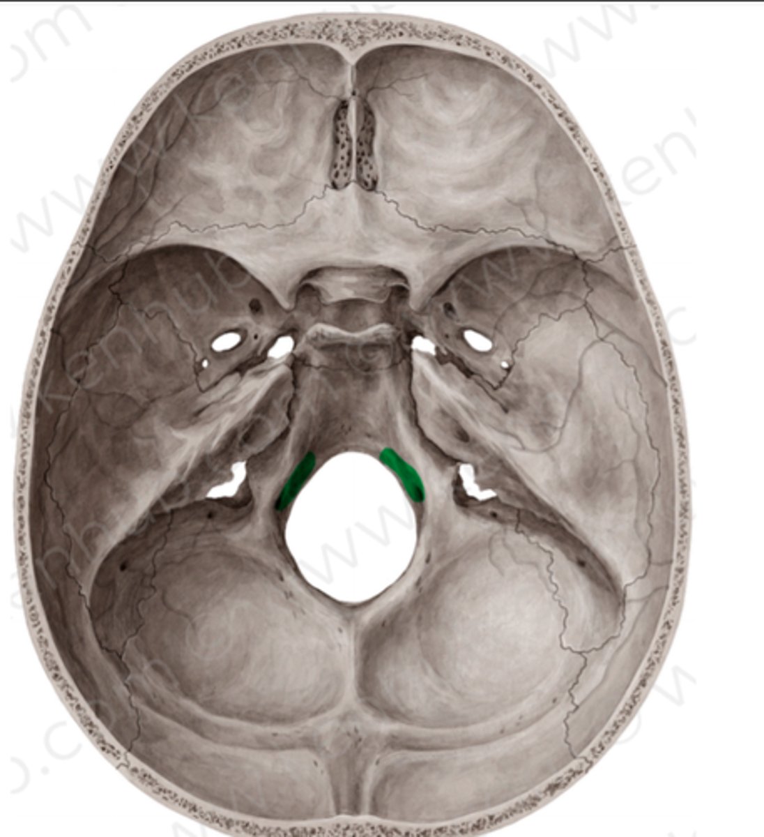 knowt flashcard image