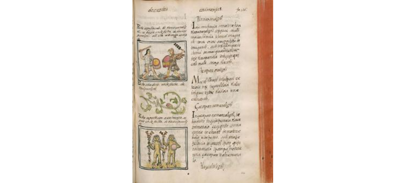<p>The Florentine Codex</p>
