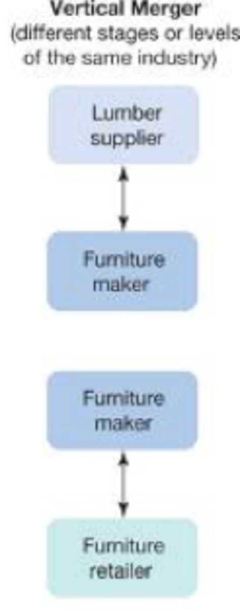 <p>the combination of two or more firms involved in different stages of producing the same good or service</p>