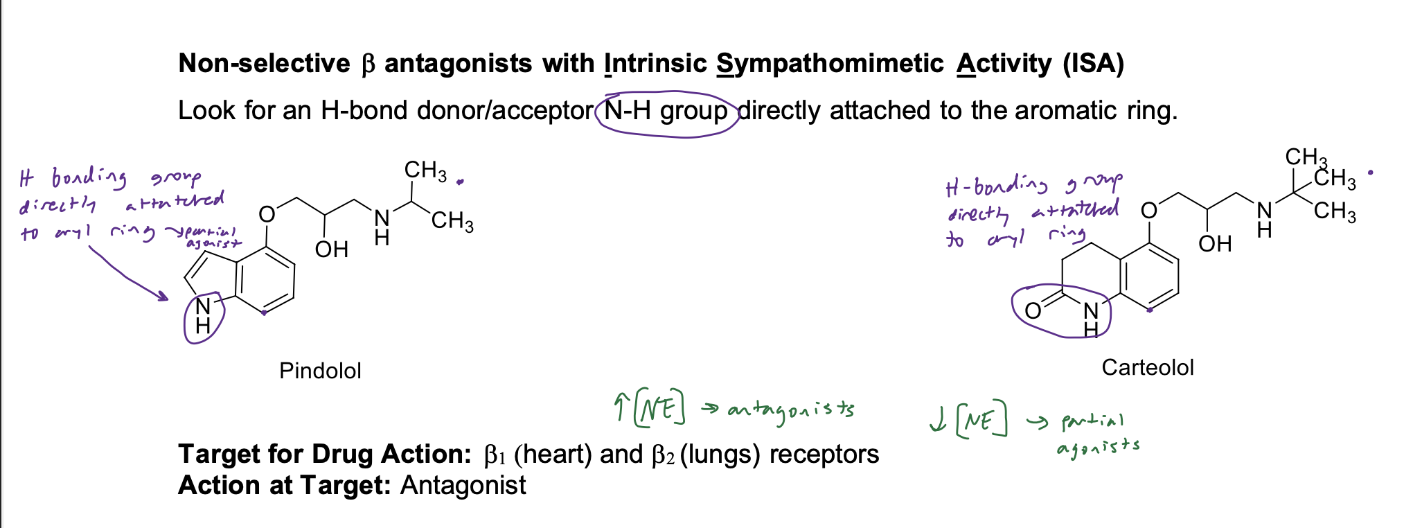 <p>Look for an H-bond donor/acceptor <strong>N-H group</strong> directly attached to the aromatic ring</p>