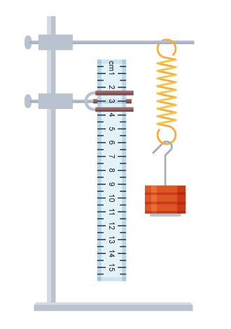 <p>Practical that shows how forces affect the extension of a spring</p>