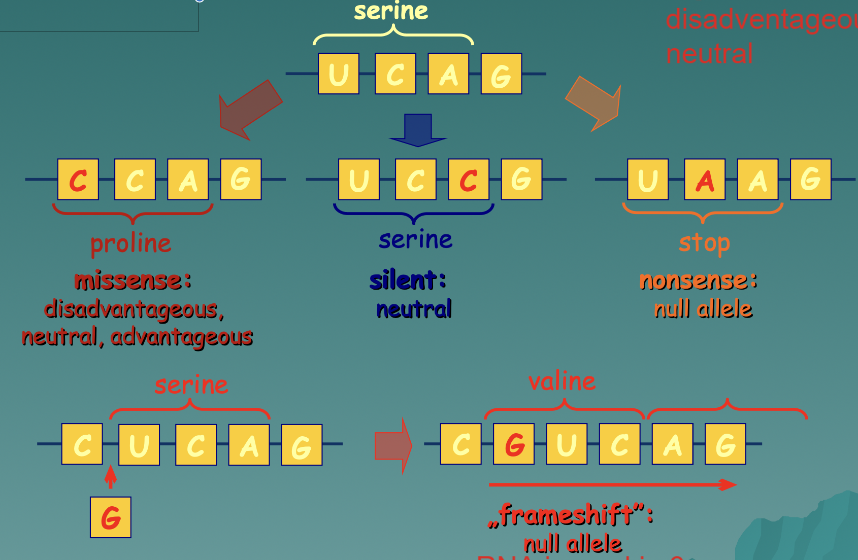 A permanent alteration in the DNA sequence that makes up a gene. Substitution is a type of gene mutation where one nucleotide is replaced by another. Substitutions can be missenense (-, due to proline), silent (0, due to serine), or nonsense (null, due to stops), or frameshift (0, due to valine)