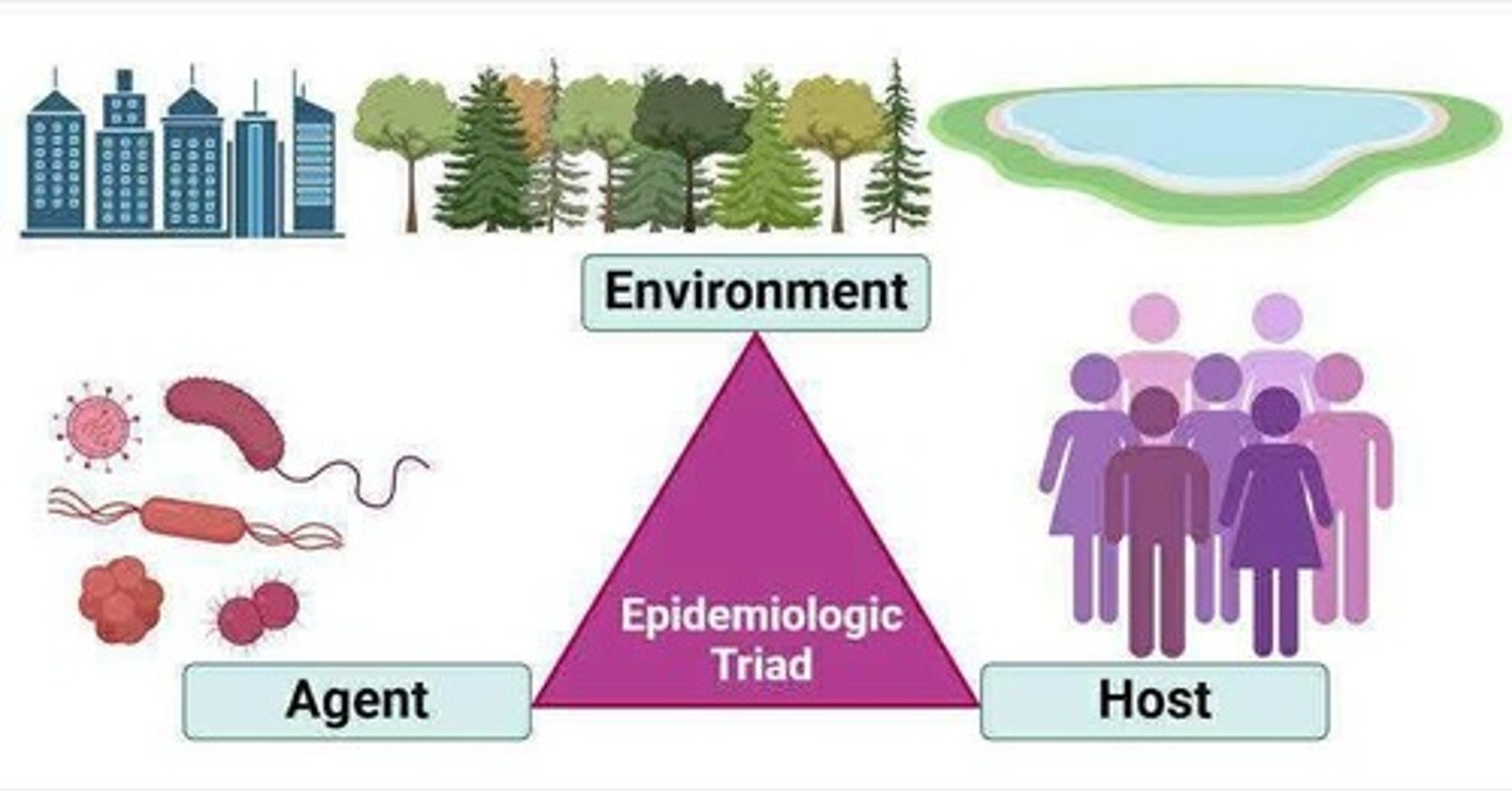 <p>A model that describes the interaction between the agent, host, and environment in the context of disease transmission.</p>