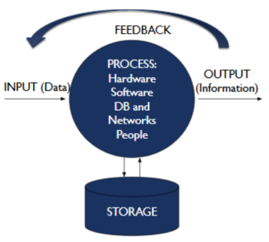 <ul><li><p><span style="background-color: transparent;"><span>Input (data)</span></span></p></li><li><p><span style="background-color: transparent;"><span>Process</span></span></p><ul><li><p>hardware</p></li><li><p>software</p></li><li><p>database and networks</p></li><li><p>people</p></li></ul></li><li><p><span style="background-color: transparent;"><span>Output (information)</span></span></p></li><li><p><span style="background-color: transparent;"><span>Storage</span></span></p></li><li><p><span style="background-color: transparent;"><span>Feedback</span></span></p></li></ul><p></p>
