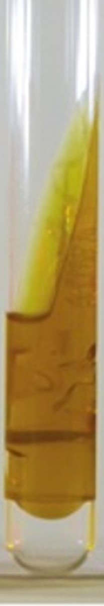 <p>What is this?</p>