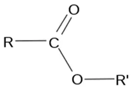 <p>-formed by <strong>reacting alcohol</strong> with carboxylic acid</p><p>conditions: <strong>alcohol, concentrated H2SO4 acid</strong></p><p>naming: <mark data-color="red" style="background-color: red; color: inherit;">prefix</mark> = <span style="color: red;"><strong>alcohol </strong></span>with <strong>-yl</strong>, <mark data-color="blue" style="background-color: blue; color: inherit;">suffix</mark> =<strong> </strong><span style="color: blue;"><strong>carboxylic acid</strong></span> with<strong> -oate</strong> e.g. ethyl butanoate = <span style="color: red;">ethanol </span>+ <span style="color: blue;">butanoic acid </span></p><p><span>WHEN DRAWING - draw </span><span style="color: blue;">carboxylic acid</span><span> <strong>first </strong></span></p>