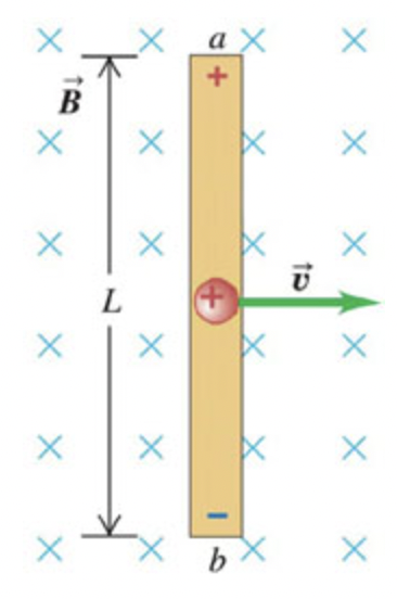 <p><span>In the figure, a conducting rod is shown moving in a uniform magnetic field . Which of the following statements are true?</span></p><p><span>A. An electric field is established in the rod directed from point </span><em>a</em><span> to point </span><em>b</em></p><p><span>B. The magnitude of the potential difference in the rod is proportional to the strength of the magnetic field</span></p><p><span>C. The magnitude of the potential difference in the rod is inversely proportional to the length </span><em>L</em><span> of the rod</span></p><p><span>D. The magnitude of the potential difference in the rod is proportional to the velocity </span><em>v</em><span> of the rod</span></p><p><span>E. The free charges in the rod are acted upon by a magnetic force</span></p>