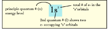 <p>form of notation that shows how the electrons are distributed among the atomic orbitals and energy levels</p>