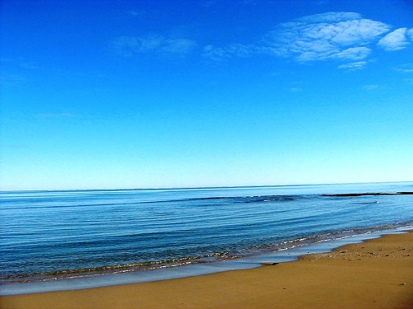 <p>a major body of water that covers large parts of the earth</p>