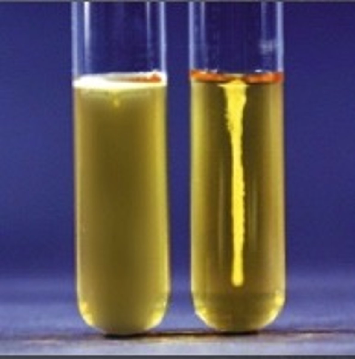 <p>What does cloudiness extending from the stab line in SIM Medium indicate?</p>
