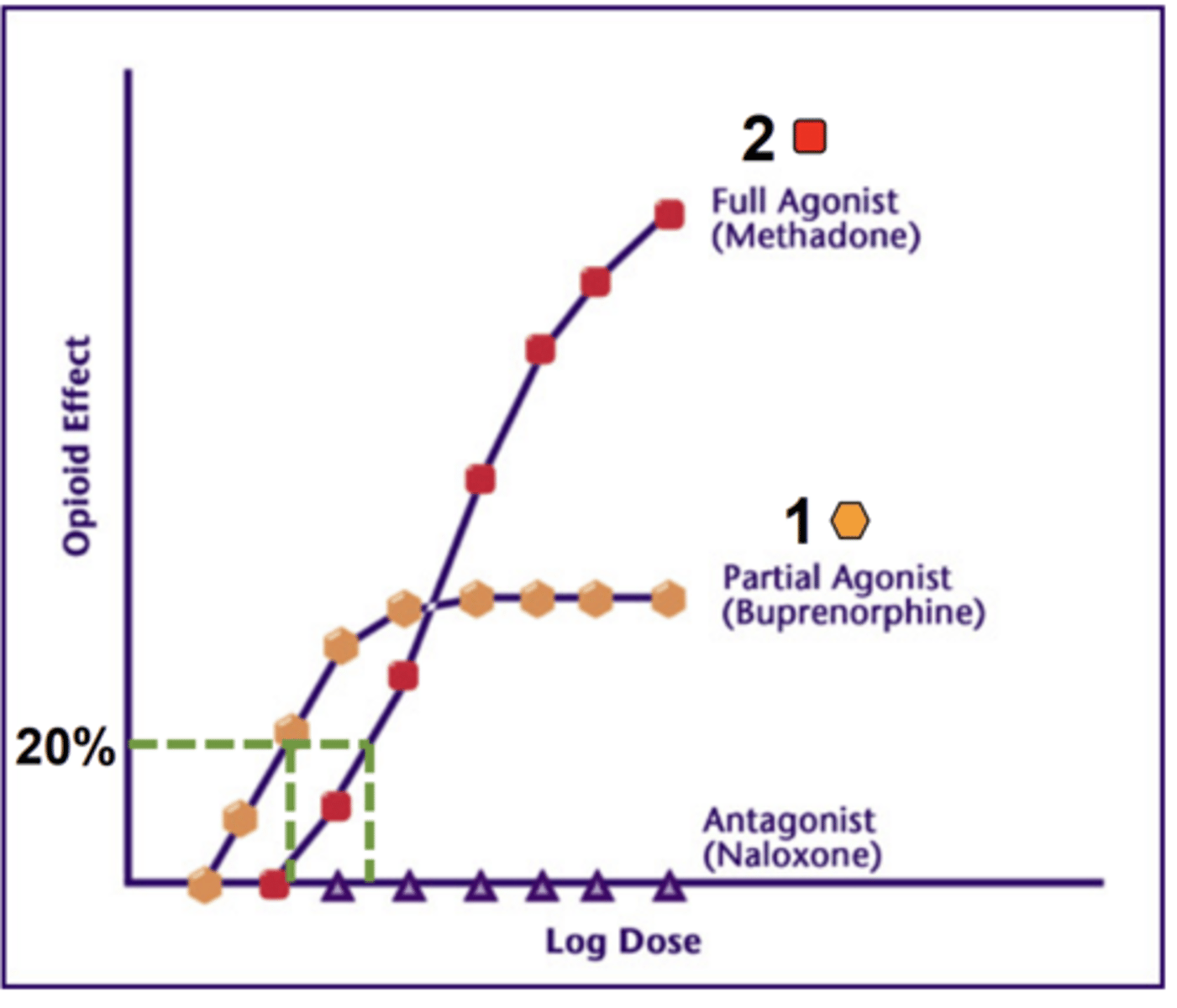 <p>partial agonists</p>