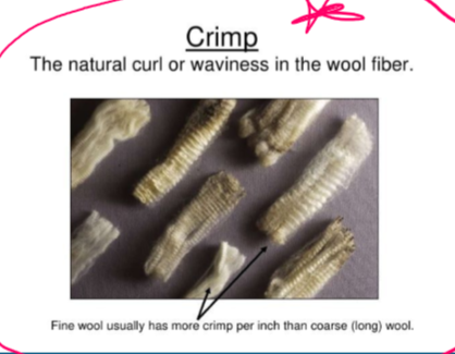 <p>Crimp </p>
