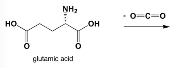 <p>The enzyme-catalyzed decarboxylation of glutamic acids lead to gamma-amino-butyric acid (GABA), which is a common neurotransmitter in the human brain. What is the chemical structure of GABA?</p>