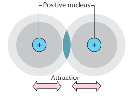 <p>a molecule where the electrons are distributed evenly throughout the molecule</p>