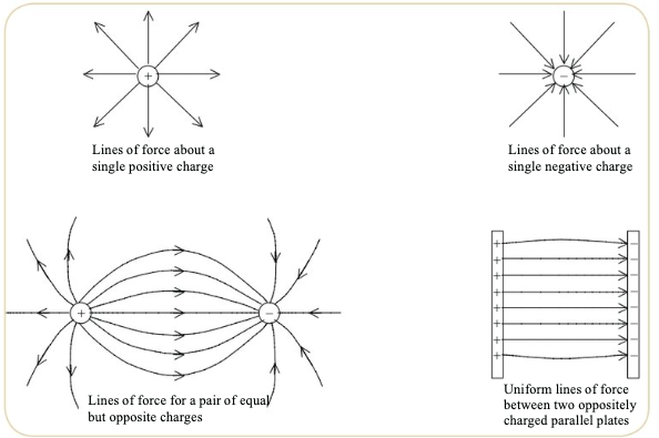 <p>represent lines as emanating from a <strong><span style="color: red">positive charge</span></strong> and terminating on a <strong><span style="color: red">negative charge</span></strong></p>
