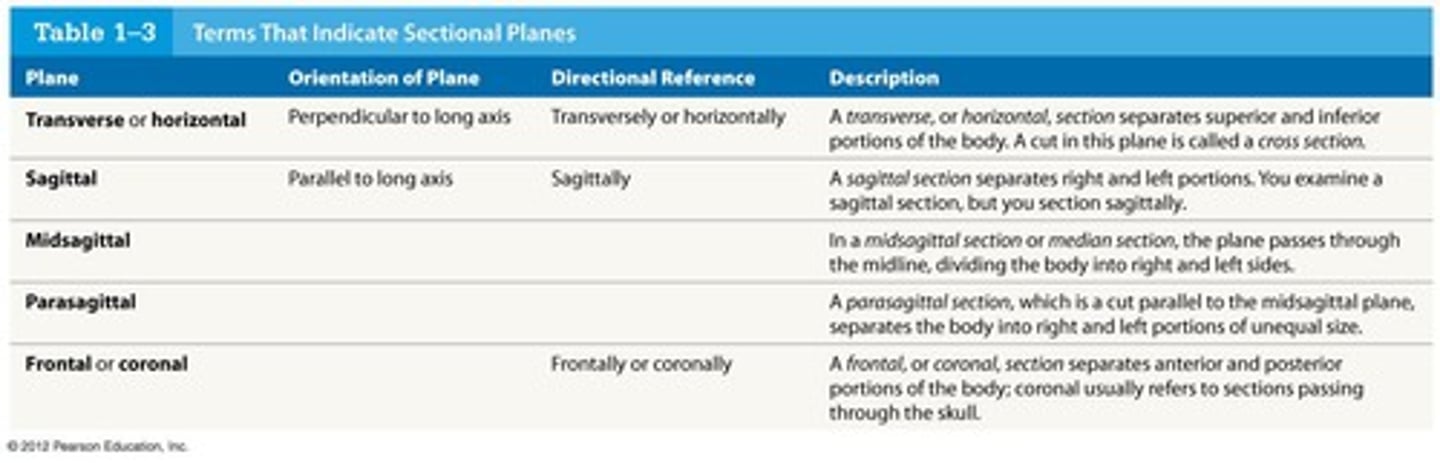 <p>A single view or slice along a plane, important in imaging techniques.</p>