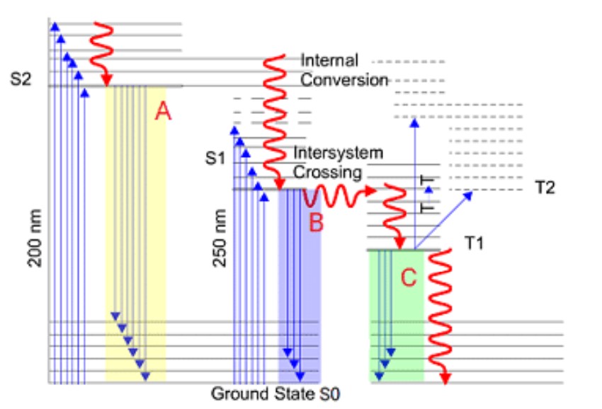 <p>Which of the processes shown represents fluorescence</p>