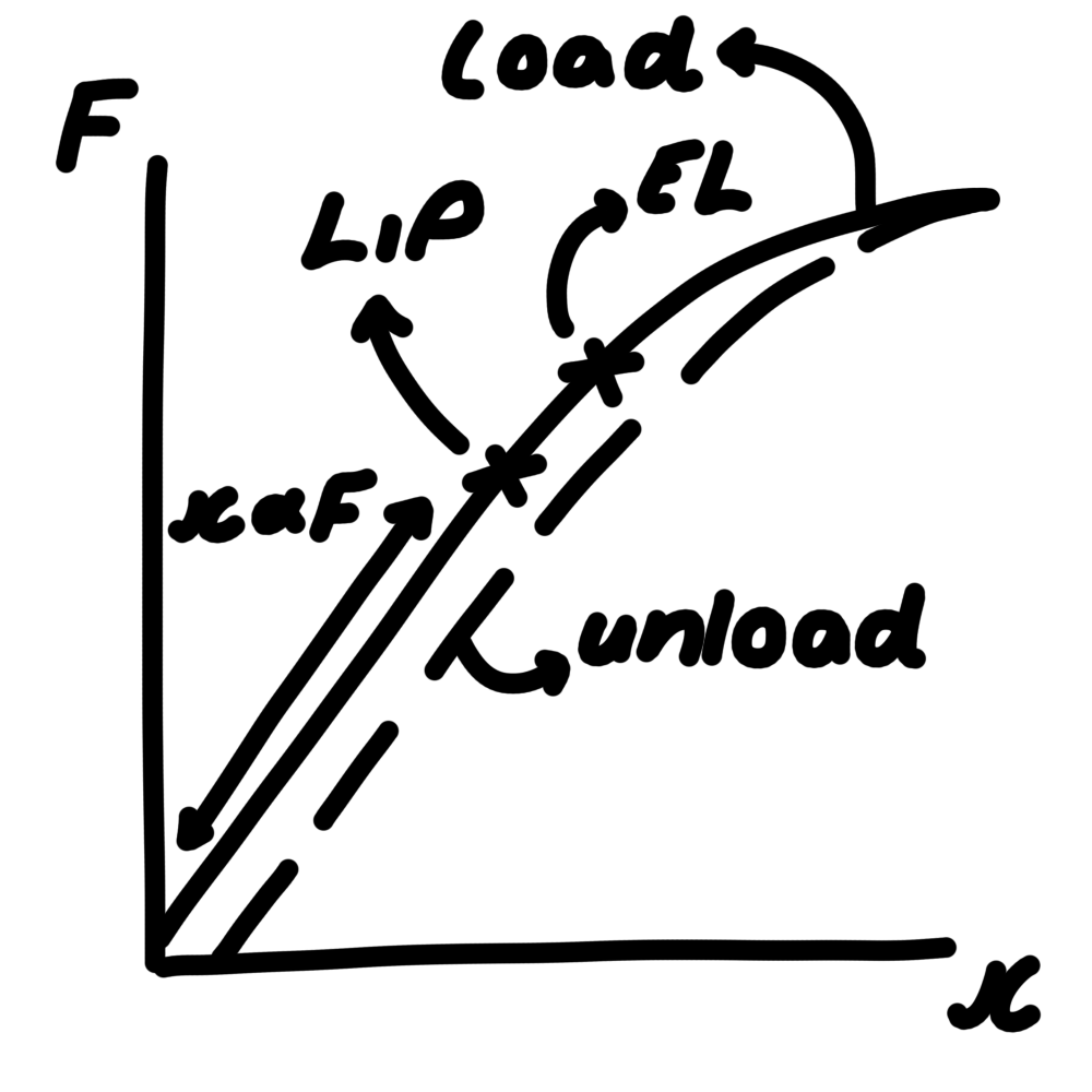 <ul><li><p>before the limit of proportionality → x ∝ F</p></li></ul><p></p>